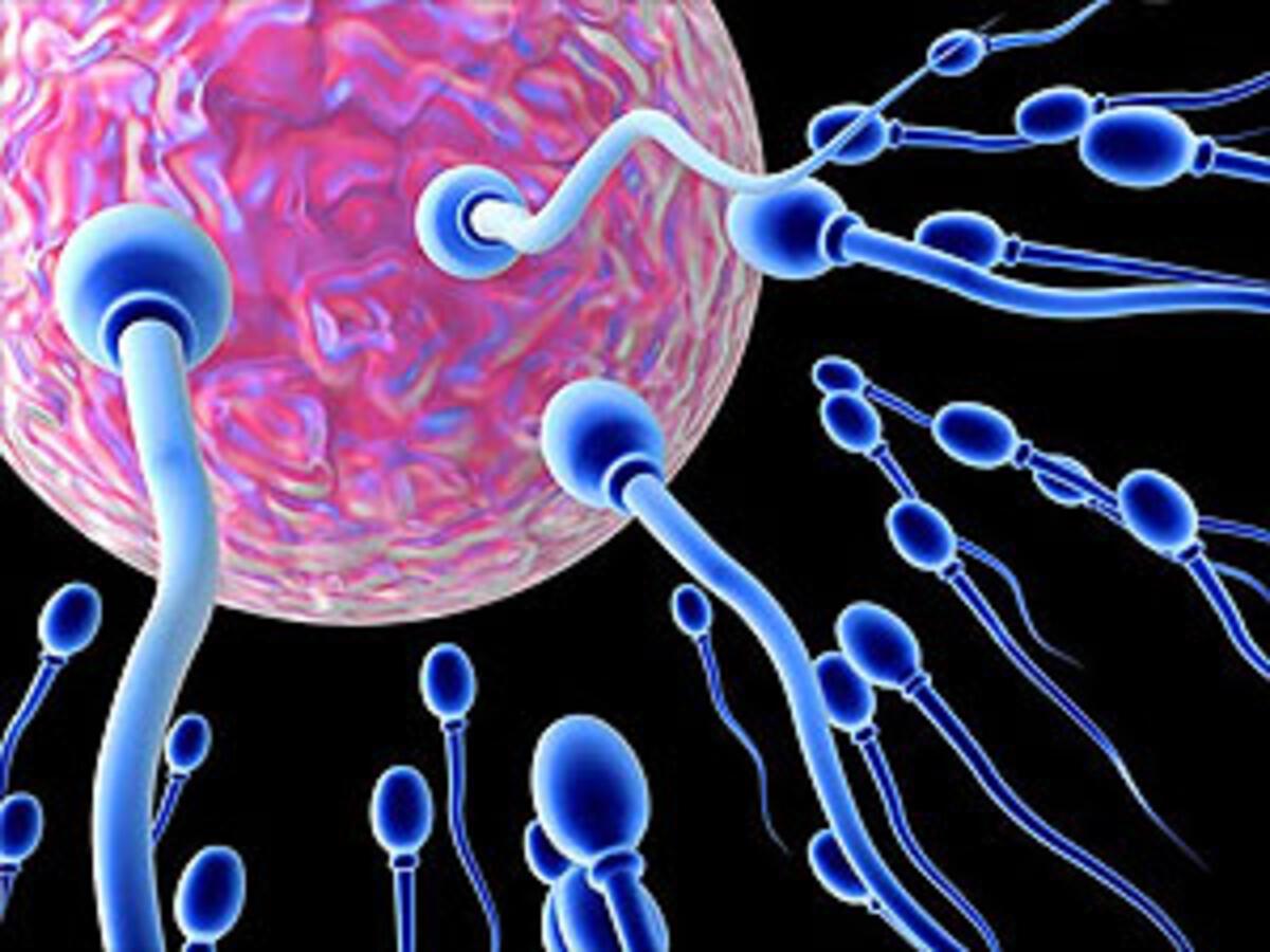 fazla cinsel iliski sperm kalitesini artiriyor saglik haberleri