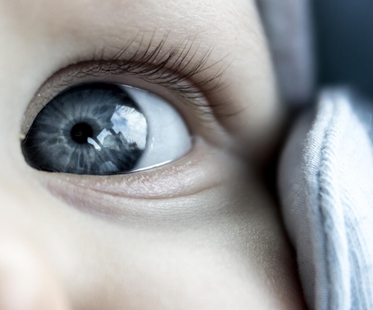 Белки глаз новорожденного. Детские глаза. Глаза младенца. Серые глаза у ребенка. Серые глаза у младенца.