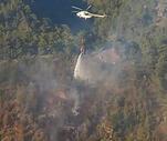 Son Dakika: Bergama'daki orman yangını 1 saatte kontrol altında