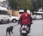 Son Dakika: Motosikletin yanında köpeği koşturdu!