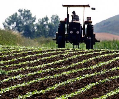 Organik tarımı destekleme tutarları belli oldu