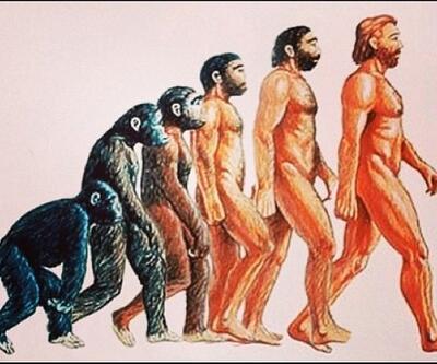 Drogba'dan "muz"a evrim teorili cevap