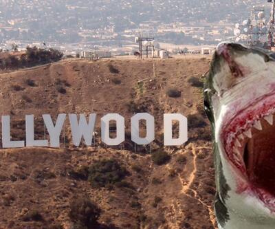 Hollywood filmlerinde köpek balığı etkisi!
