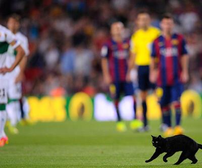 Barcelona maçında sahaya kara kedi girdi!