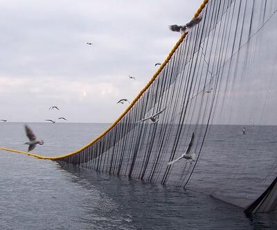 Türkiye denizlerindeki balık türleri tükeniyor