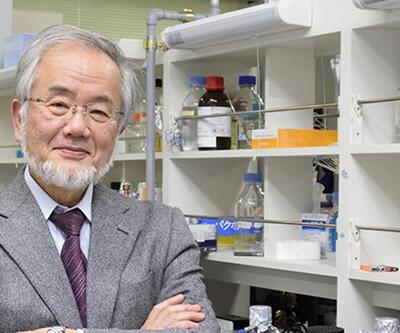 Nobel Tıp Ödülü Yoshinori Ohsumi'nin