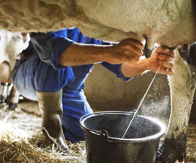 Çiğ sütün satışında önemli değişiklik