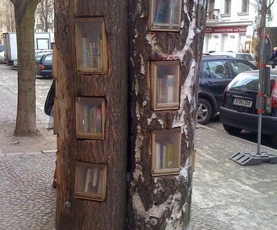 Ağaç deyip geçme: Berlin'de bir kitap okuma hareketi