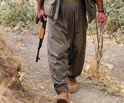 Terör örgütü PKK'nın bölge sorumlusu öldürüldü