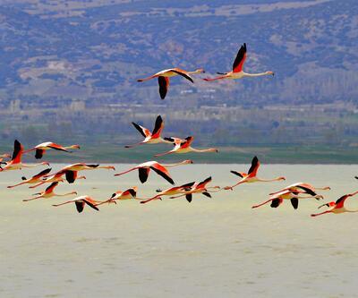 Mermer ocakları hem gölü kurutuyor, hem flamingoları kaçırıyor