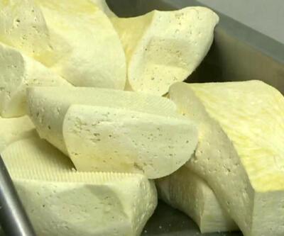 Kars'ın kaşar peyniri dünyaya açılıyor