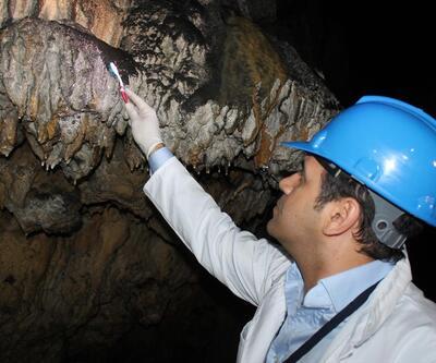 Zonguldak'ta diş fırçası ile mağara temizliği başladı