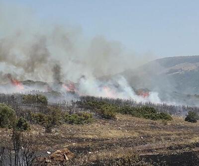 İzmir'deki orman yangını 4 gündür sürüyor
