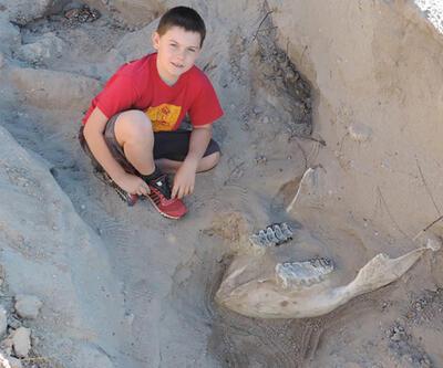 Ayağı takılıp düşünce 1 milyon yıllık fosil bulundu