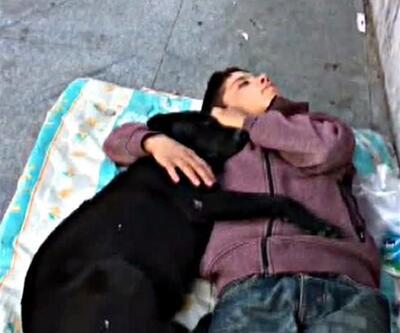 Beşiktaş’ta köpeğe sarılarak uyuyan çocuk duygulandırdı