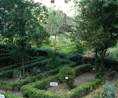  Atatürk’ün kurduğu botanik bahçesi Diyanet'e tahsis edildi