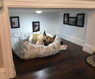 Köpeğine özel 'oda' inşa etti!