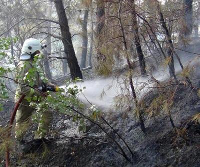 Manisa Spil Dağı'nda orman yangını