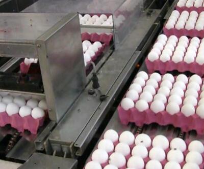 Yumurta fiyatlarında artış bekleniyor