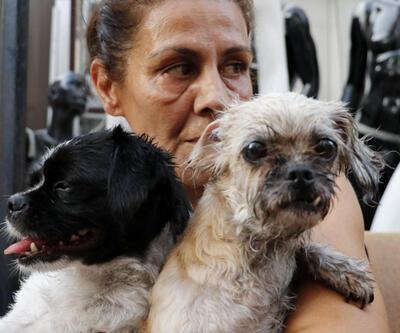 Kahraman komşular 4 köpek, 3 muhabbet kuşunu kurtardı