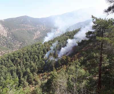 PKK'lı teröristler ormanı ateşe verdi