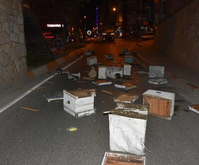 Kamyon kaza yaptı, arılar caddeyi bastı
