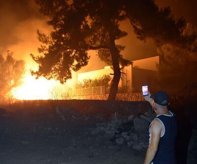 Bodrum'da tarım arazisindeki yangın korkuttu
