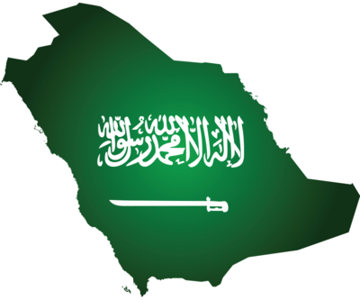 Suudilerden SDG'ye cömert bağış