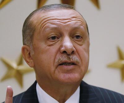 Erdoğan'dan Hayvan Hakları Yasası tepkisi: Yasa hâlâ neyi bekliyor?