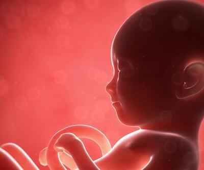 Tüp bebek ile oluşan gebeliklerde düşük riski yüksek midir?