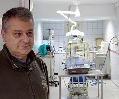 Murat Özdemir'in işkence ettiği papağan ameliyat edildi