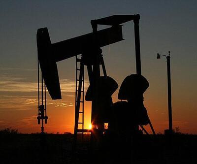 "OPEC, 2019'dan itibaren petrol üretimini yüzde 3 azaltacak"