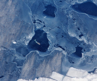 Buzul örtüsünün erimesi tonlarca metan gazını açığa çıkarıyor
