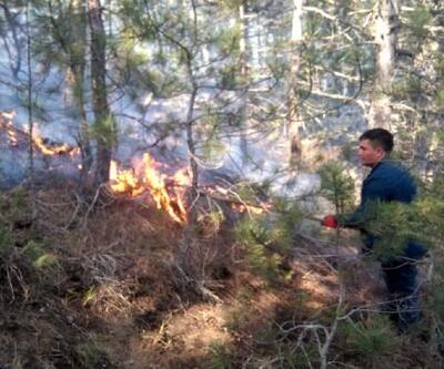 Ormanda çıkan yangında 4 hektar otluk alan kül oldu