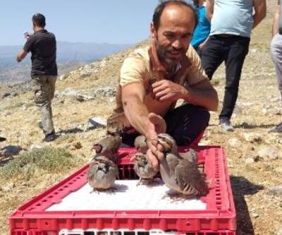 Nurhak'ta 2 bin kınalı keklik doğaya bırakıldı