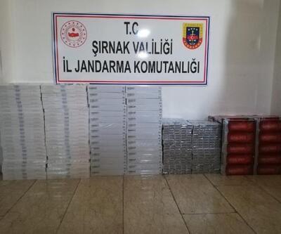 Cizre'de 7 bin 520 paket kaçak sigara ele geçirildi