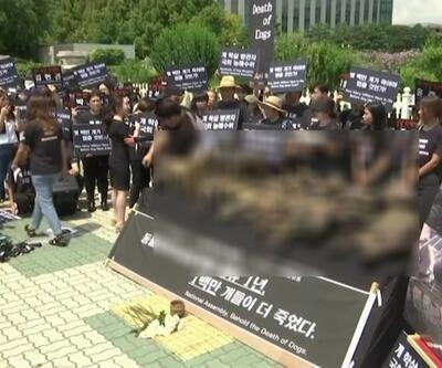 Güney Kore'de hayvan hakları protestosu