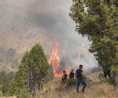 Kahramanmaraş'ta 5 hektar ormanlık alan yandı