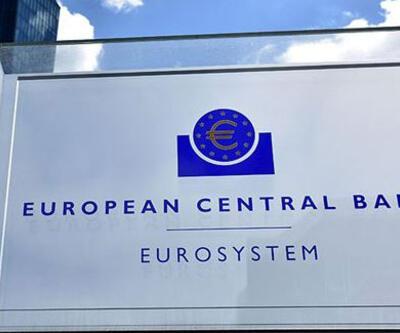 Avrupa Merkez Bankası'nın raporlama sitesi hacklendi