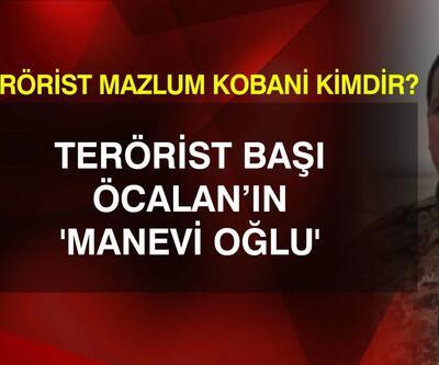 Terörist Mazlum Kobani kimdir?