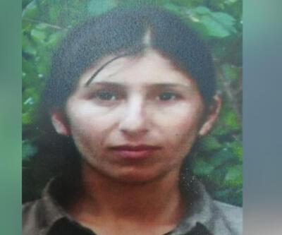 PKK'nın sözde 'Dersim eyaleti' konsey üyesi sağ yakalandı