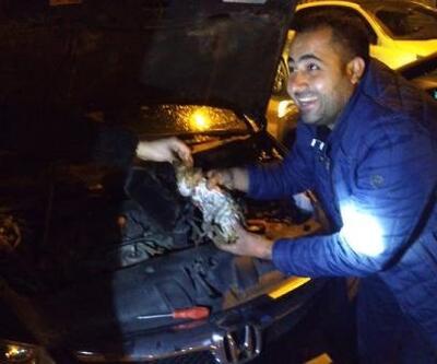 Aracın motorunda sıkışan yavru kedi kurtarıldı