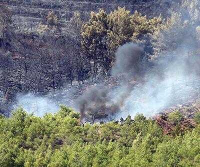 Terör örgütü PKK/KCK'nın "yangın" yalanı çürütüldü