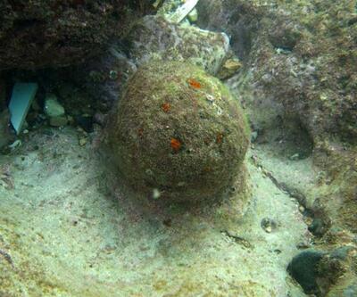 Antalya'da denizde tarihi top mermileri bulundu
