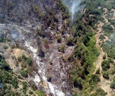 Son dakika... Efeler'de 4 hektarlık zeytinlik ve ormanlık alan yangında zarar gördü