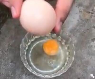 Yumurtanın içinden yumurta çıktı