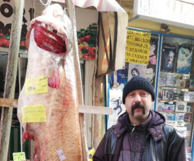 108 kiloluk yayın balığı, kilosu 50 liradan satışta