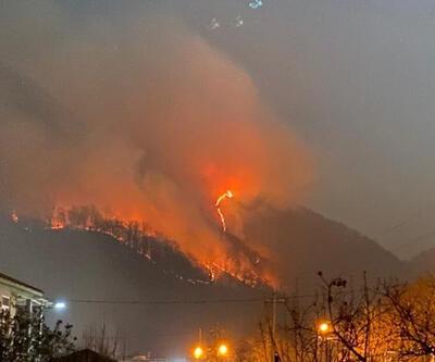 Rusya’da yeni yıl kutlamalarında atılan havai fişekler orman yangınına neden oldu