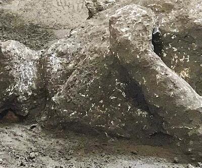 Pompei'deki kazılarda ortaya çıkarılan eserler Antiquarium'da sergilenecek