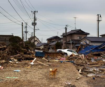Fukuşima'da felaketin 10. yıldönümü